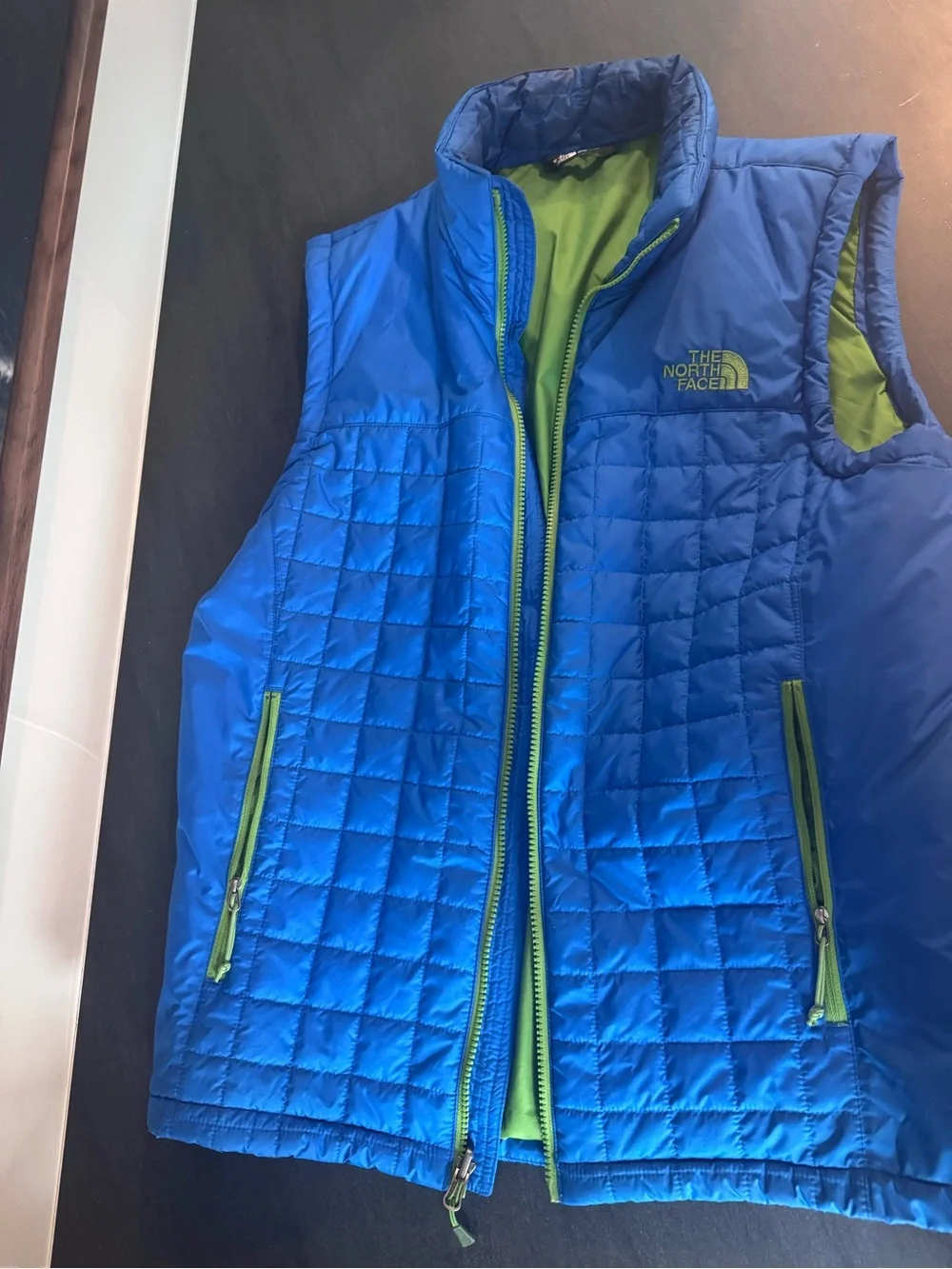 The North Face Men’s Blue Puffer Vest with Green Lining